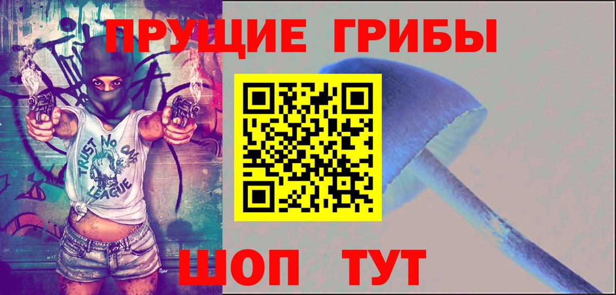 Псилоцибиновые грибы Psilocybine cubensis Краснокаменск